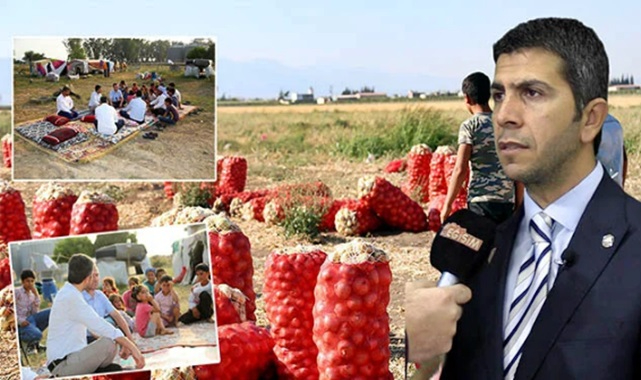 Tarım işçilerinin sorunları rapora döküldü!