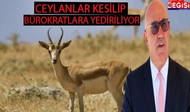 Ceylanları kesip Bürokratlara yediriyorlar