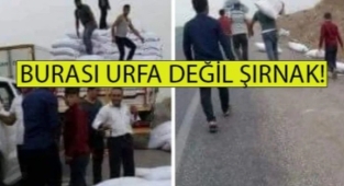 Şırnaklılardan Urfalılara insanlık dersi