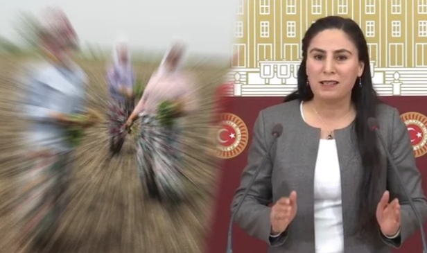 Sürücü, tarım işçileriyle ilgili adım atılmadı!