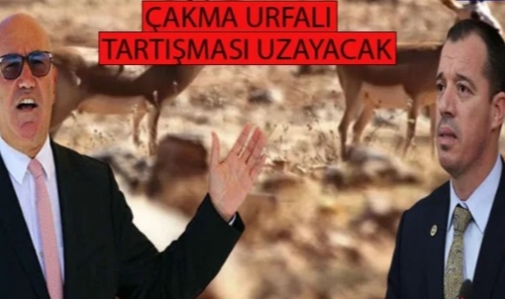 Urfalılar soğan bulamıyor! Vekiller güç gösterisi yapıyor