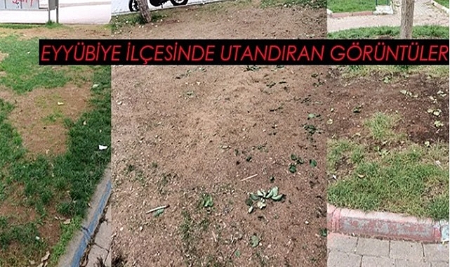 Şanlıurf'da istenmeyen görüntüler!