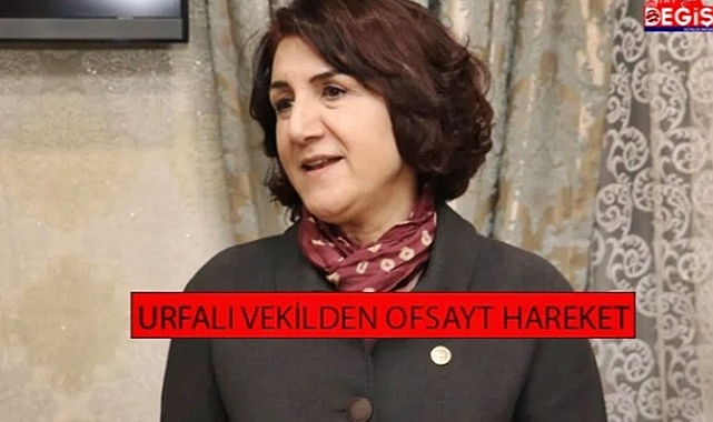 Şanlıurfalı vekilden şok sözler