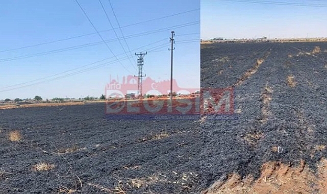 Başkan Çelikli&#039;nin tarlası kül oldu!