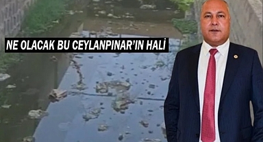 Ceylanpınar Belediyesi ne yapıyor!
