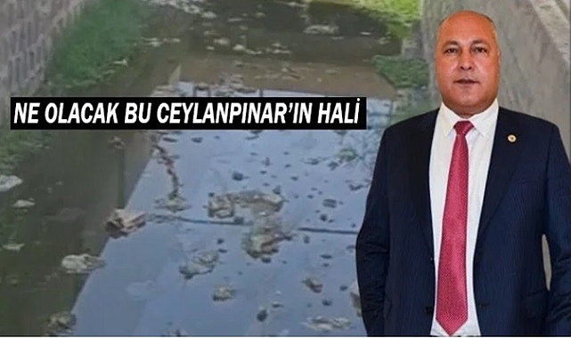 Ceylanpınar Belediyesi ne yapıyor!