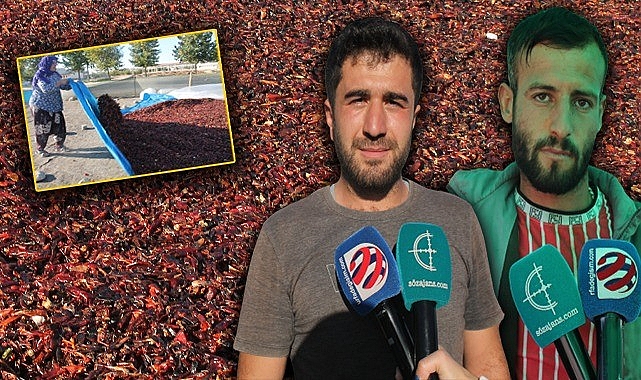 Urfa İsotu bu sene dilleri değil cepleri yakacak!