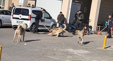 Hasta vatandaşlar Siverek belediyesine tepki gösterdi