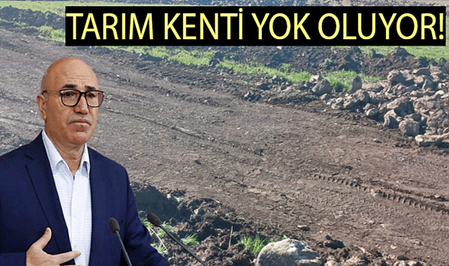 Şanlıurfa'da kaş yaparken göz çıkardılar!