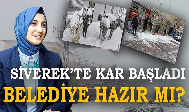 Siverek'te donan eşekler bu sene de gündem olmasın!