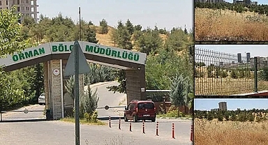 Şanlıurfa Orman bölge Müdürlüğü ne iş yapıyor?