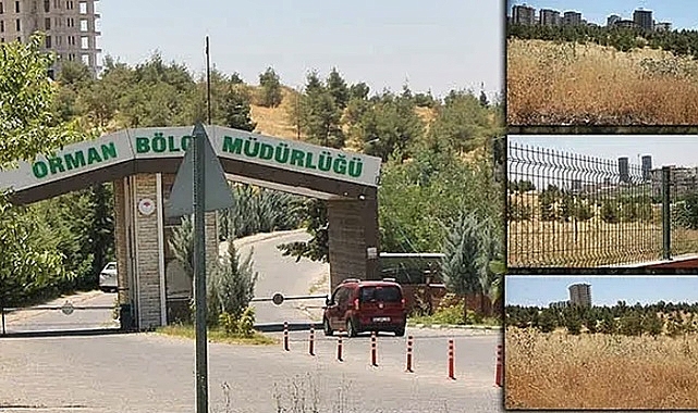 Şanlıurfa Orman bölge Müdürlüğü ne iş yapıyor?