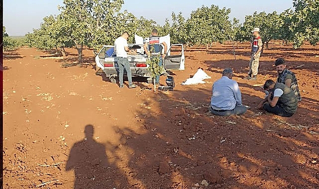 Şanlıurfa'da fıstık bahçesine giren hırsızlar yakalandı