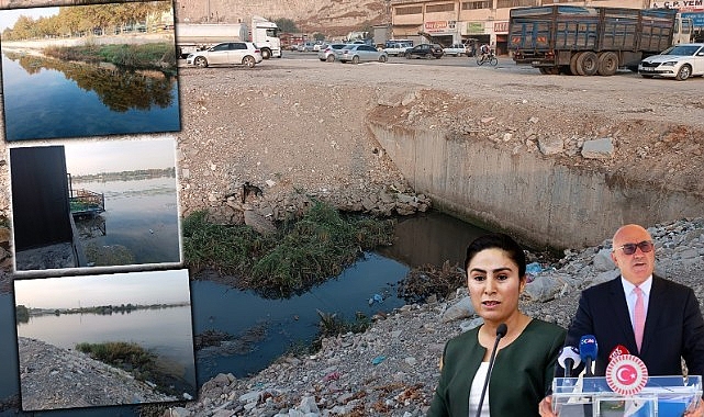 Fırat'ta doğa katliamı yapılıyor