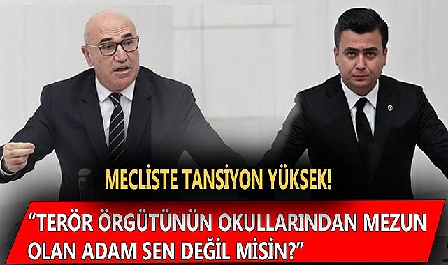 Urfalı vekilden, Gökçek'e zehir zemberek sözler