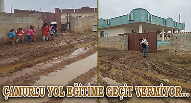 Akçakale'de minik çocuklara reva görülen yol