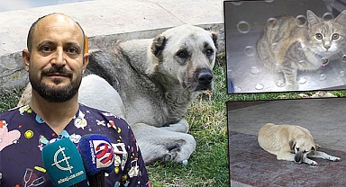 Şanlıurfalılar dikkat! Köpek saldırılarından korunmanın yolları